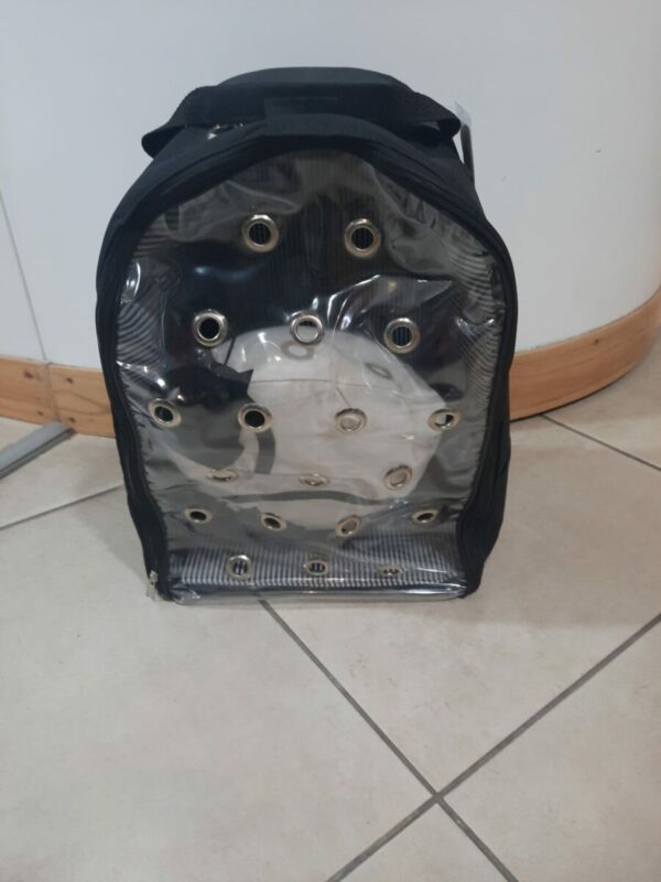Mochila Gato Premium Con Juguete