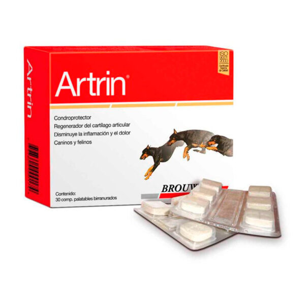 Artrin 30 Comprimidos